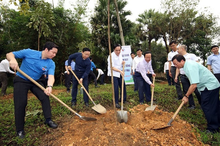 Vietnam to plant 1 billion trees by the end of 2025 - 1