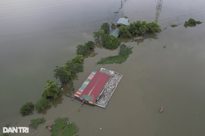 Hanoi village isolated by flooding - 5