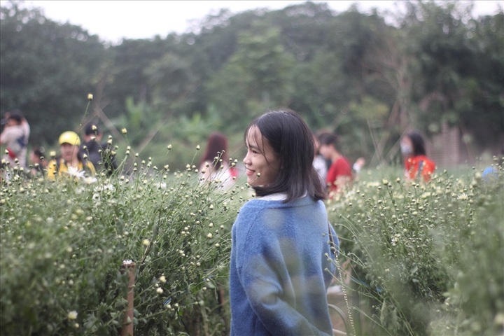 Hanoians flock to daisy garden for photos - 6
