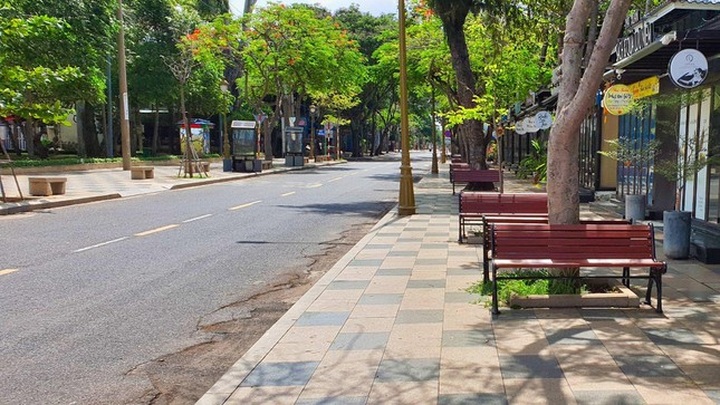 Vung Tau mountain monkeys look for food on streets - 4 Vung Tau mountain monkeys look for food on streets - 4
