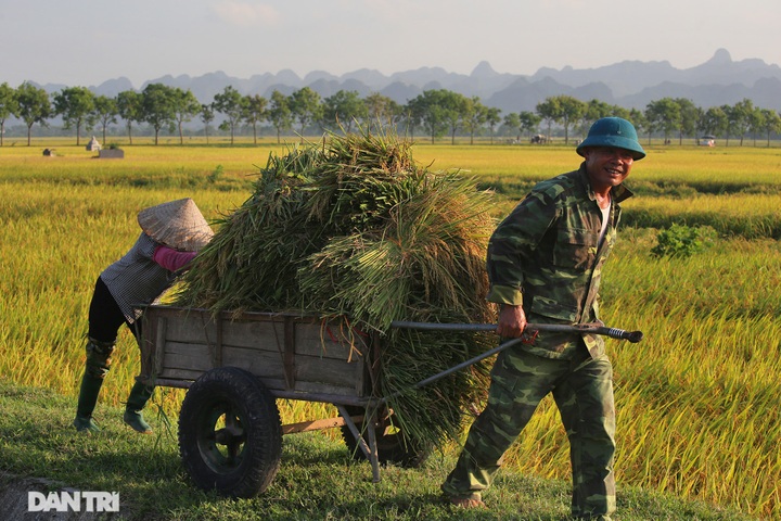 Hanoi's suburbs during ripening rice season - 10 Hanoi's suburbs during ripening rice season - 10