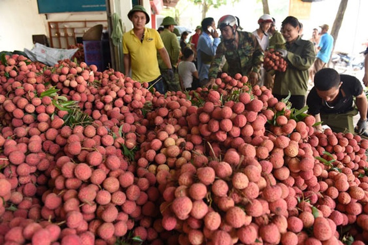 Bac Giang calls for farm produce sale support amid Covid-19 outbreak - 1