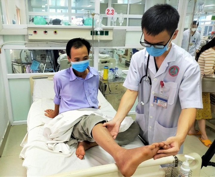 More farmers hit by snakes during Central Highlands coffee harvest - 1