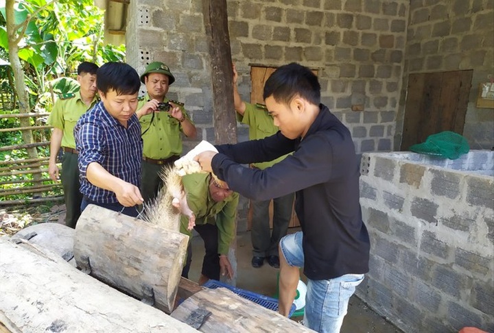 Wild animals illegally traded in Phong Nha-Ke Bang National Park - 1