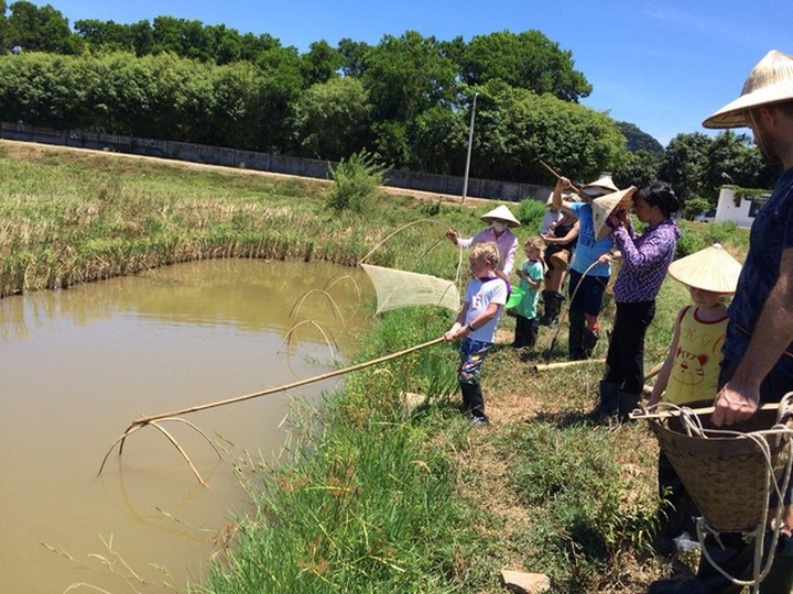 Foreign tourists experience farming life in Trang An - 6