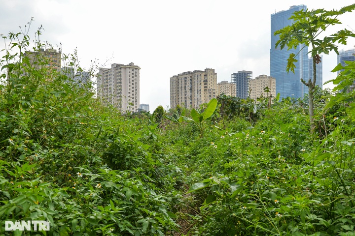 VND1.6-trillion park in Hanoi left for over a decade - 6 VND1.6-trillion park in Hanoi left for over a decade - 6