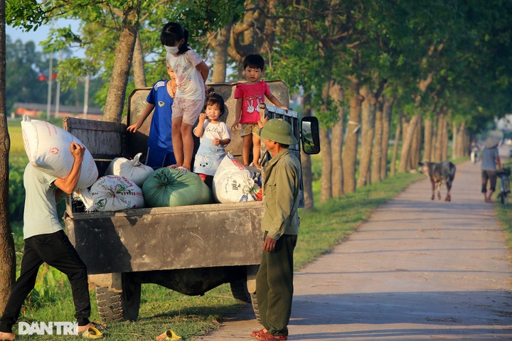 Hanoi's suburbs during ripening rice season - 11 Hanoi's suburbs during ripening rice season - 11