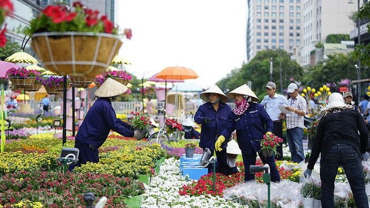 HCM City flower street ready to be opened - 10 HCM City flower street ready to be opened - 10