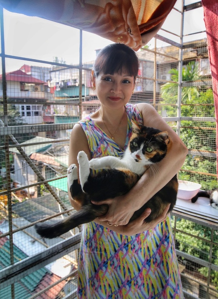 Hanoi woman offers home to abandoned cats - 7