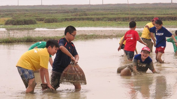 Foreign tourists experience farming life in Trang An - 5