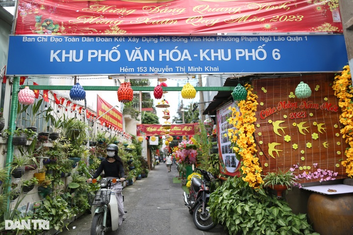 Colourful HCM City as Tet nears - 6