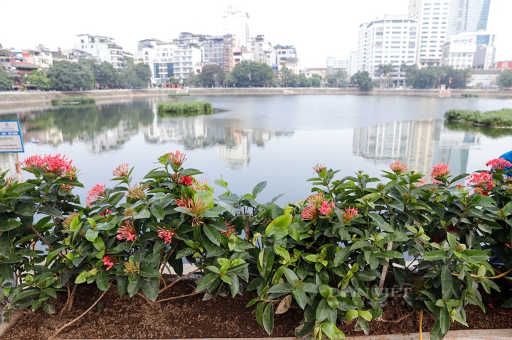 Work quickened on Hanoi pedestrian street - 5