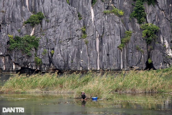 Primitive beauty of Van Long Wetland - 10