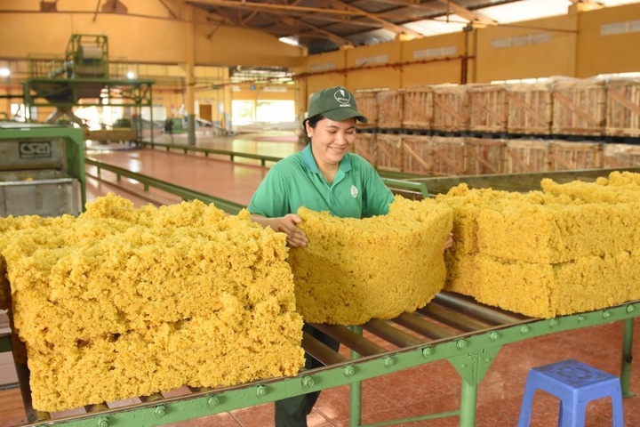 Netherlands increases rubber imports from Vietnamese mar - 1