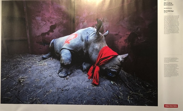 World Press Photo Exhibition 2020 opens in Hanoi - 1 World Press Photo Exhibition 2020 opens in Hanoi - 1