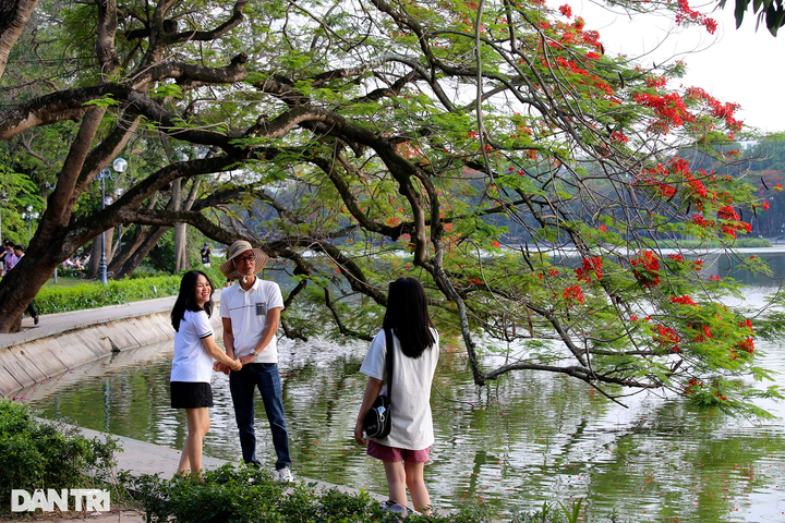 Iconic Hanoi lake wreathed with colourful summer flowers - 10