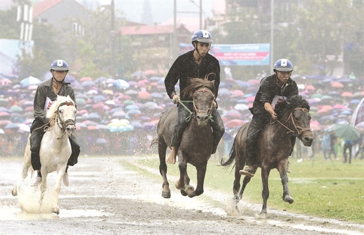 Horse festival in Lao Cai to celebrate northern highlands culture, sports - 1
