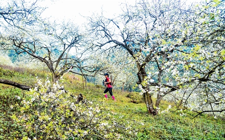 More than 4,000 runners to race in Vietnam Trail Marathon - 1