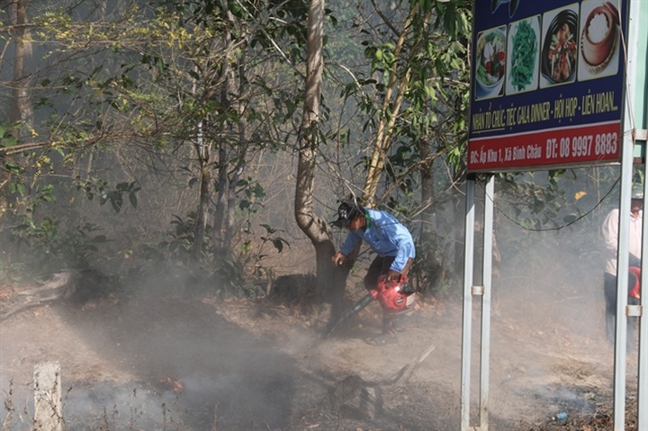 Bà Rịa – Vũng Tàu tightens forest-fire prevention measures - 1 Bà Rịa – Vũng Tàu tightens forest-fire prevention measures - 1