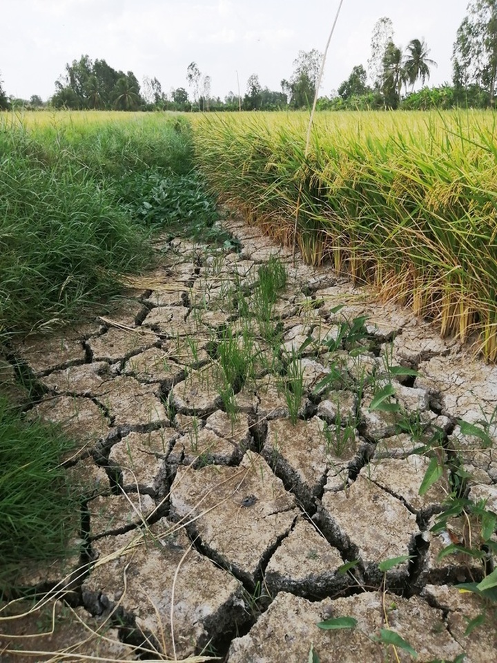 Southernmost province severely hit by drought - 7 Southernmost province severely hit by drought - 7