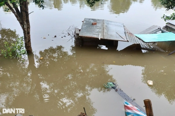Erosion ravages Mekong Delta localities - 8