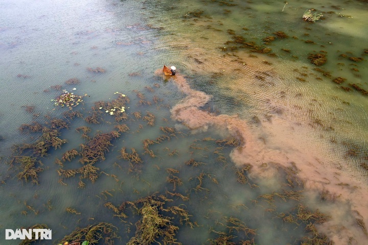 Primitive beauty of Van Long Wetland - 11