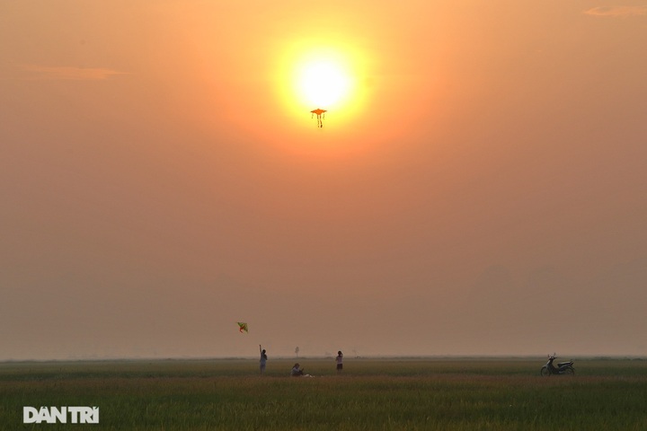 Hanoi's suburbs during ripening rice season - 14 Hanoi's suburbs during ripening rice season - 14