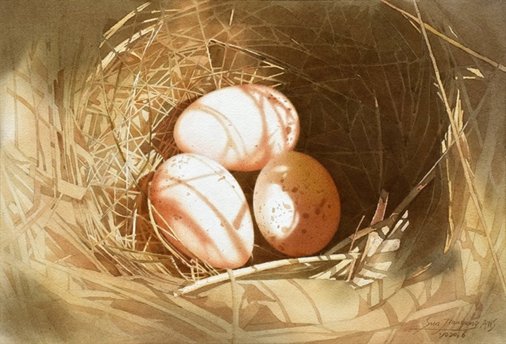 Int’l watercolour painting exhibition opens in HCM City - 1