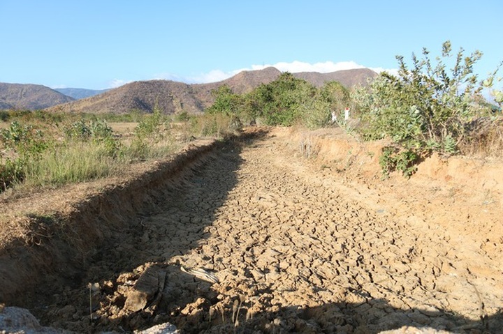 Binh Thuan struggles to deal with early drought - 5
