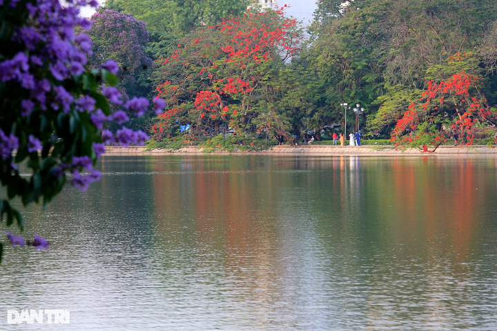 Iconic Hanoi lake wreathed with colourful summer flowers - 11