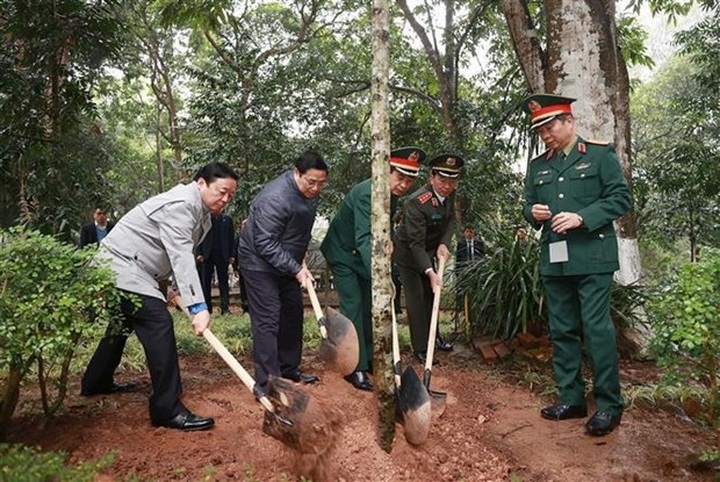 Prime Minister launches New Year tree planting festival - 1