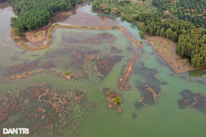 Primitive beauty of Van Long Wetland - 6