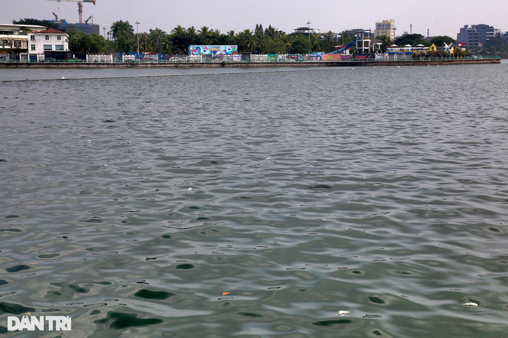 Mass fish deaths continue in Hanoi's West Lake - 7