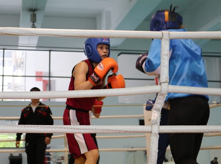 Boxer Tâm expected to gain ticket to Tokyo Olympics - 1