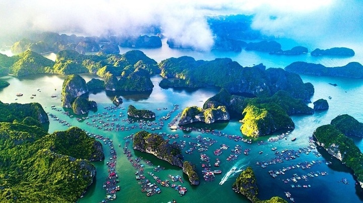 Ha Long Bay-Cat Ba Archipelago to seek world heritage recognition - 1