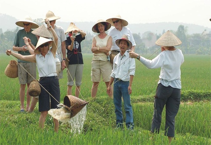 Foreign tourists experience farming life in Trang An - 3