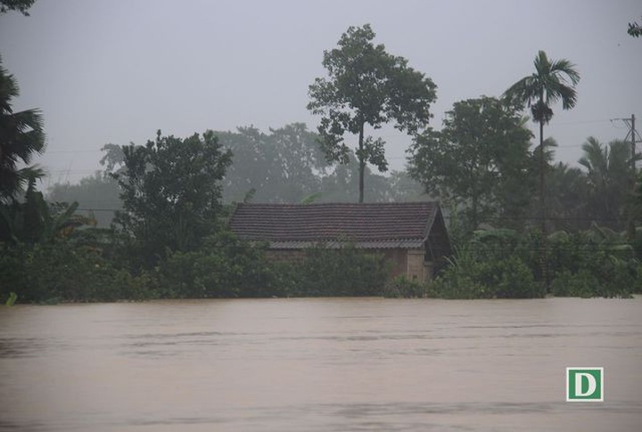 Many communes in Ha Tinh under water - 3