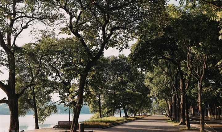 Photo contest launched to capture green Hanoi - 1