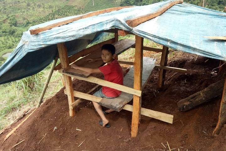 Dak Lak student attends online classes at makeshift tent - 2