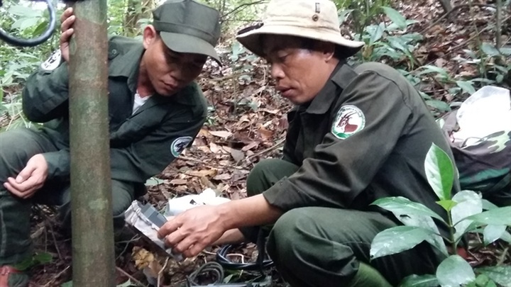 Rich primate species in Vietnam threatened: WWF report - 2