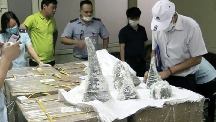 Vietnam seizes 125 kilos of rhino horn hidden in plaster - 1