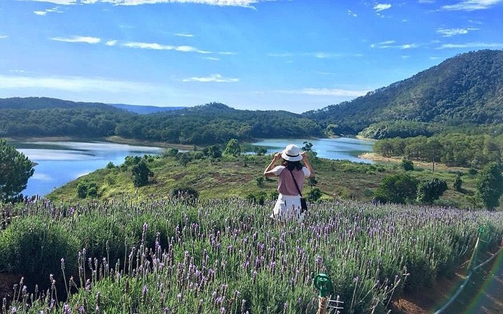 Da Lat named among world's top flower destinations: Booking.com - 1