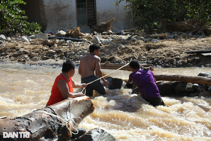 Flooded Nghe An river carries timber downstream - 2 Flooded Nghe An river carries timber downstream - 2
