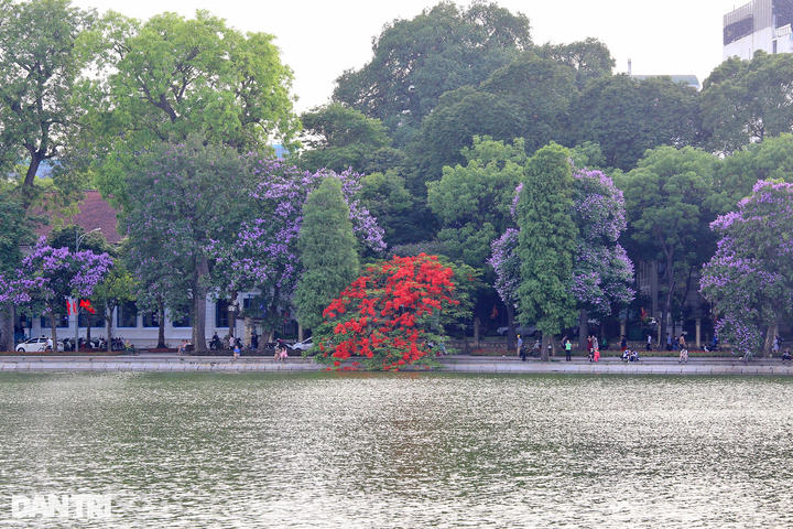 Iconic Hanoi lake wreathed with colourful summer flowers - 1