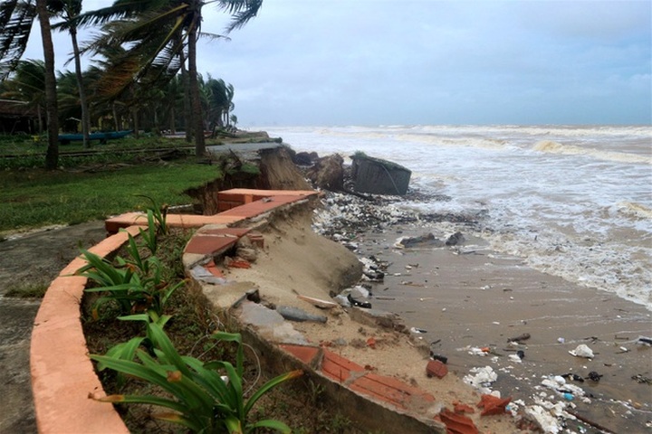 Hoi An luxury resorts threatened by erosion - 2 Hoi An luxury resorts threatened by erosion - 2