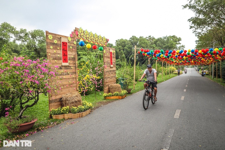 Lantern road at HCM City park attracts visitors - 2