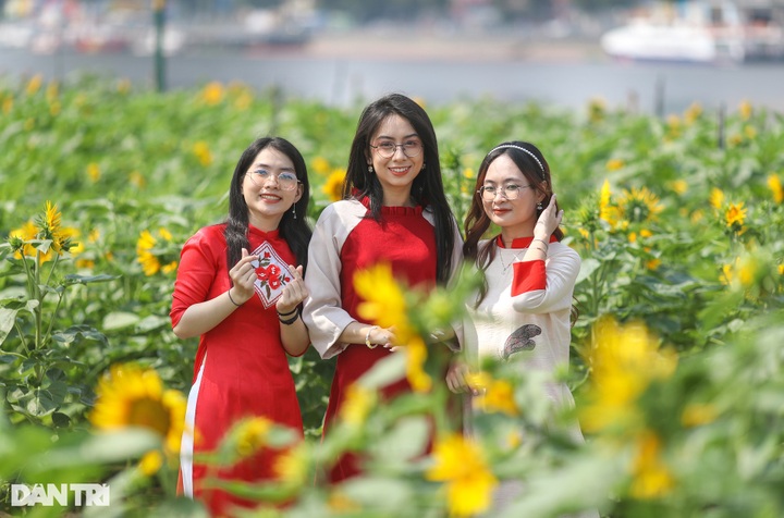 Saigon River Park gets facelift ahead of Tet - 1 Saigon River Park gets facelift ahead of Tet - 1