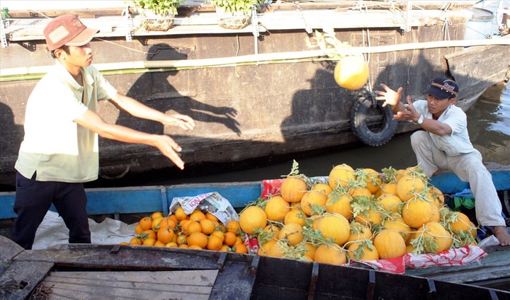 Cai Rang floating market busy before Tet - 2