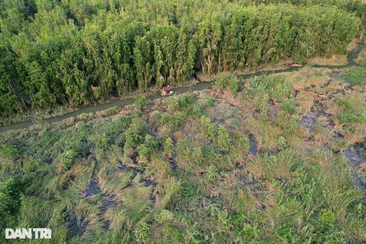 Primitive beauty of Van Long Wetland - 2