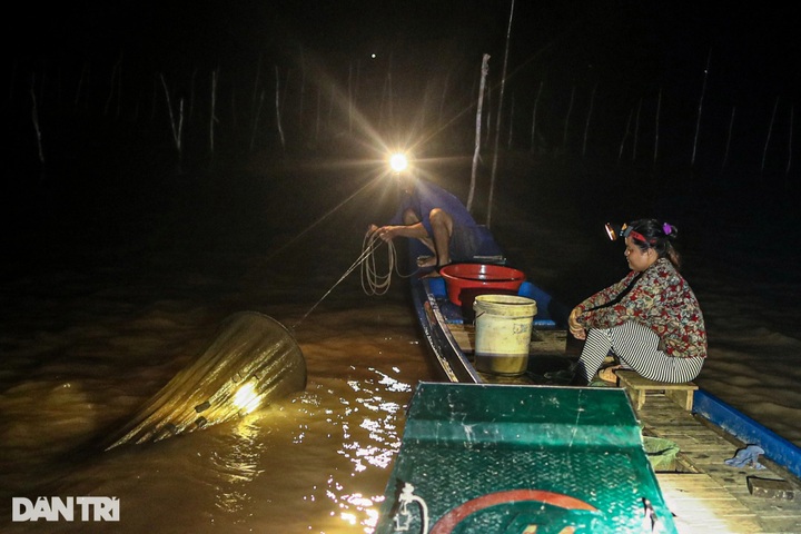Fish hunting season in Mekong Delta region’s flood season - 2 Fish hunting season in Mekong Delta region’s flood season - 2